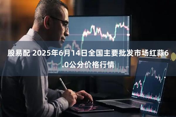 股易配 2025年6月14日全国主要批发市场红蒜6.0公分价格行情