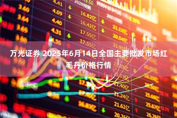 万光证券 2025年6月14日全国主要批发市场红毛丹价格行情