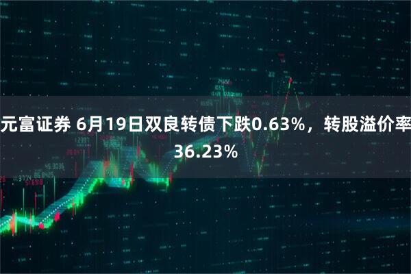 元富证券 6月19日双良转债下跌0.63%，转股溢价率36.23%