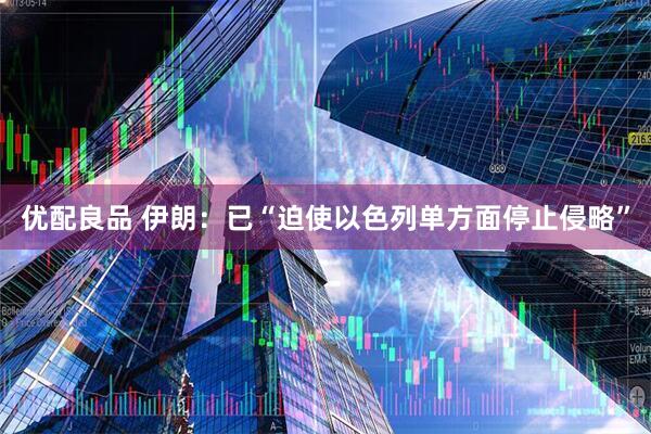 优配良品 伊朗：已“迫使以色列单方面停止侵略”