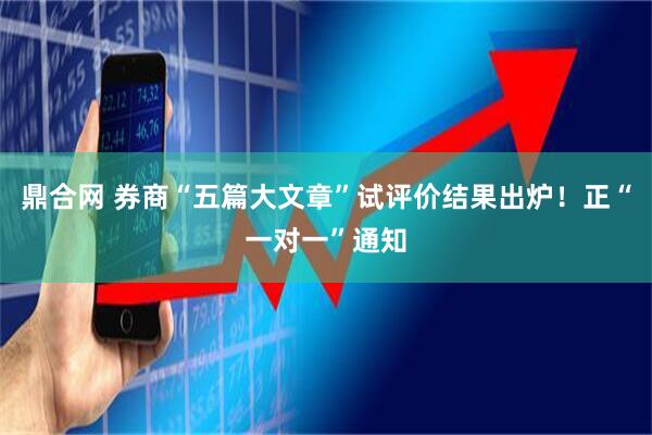 鼎合网 券商“五篇大文章”试评价结果出炉！正“一对一”通知