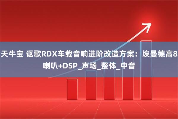 天牛宝 讴歌RDX车载音响进阶改造方案：埃曼德高8喇叭+DSP_声场_整体_中音