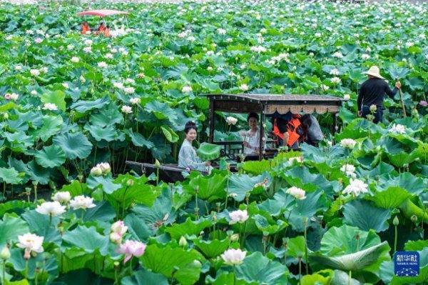 红牛配资 好评中国丨盛夏文旅“热”，共绘消费新图景