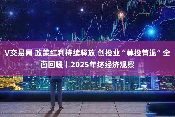 V交易网 政策红利持续释放 创投业“募投管退”全面回暖丨2025年终经济观察